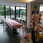 Orchidea 巴多利诺