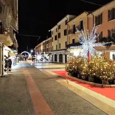 Orchidea 바르돌리노