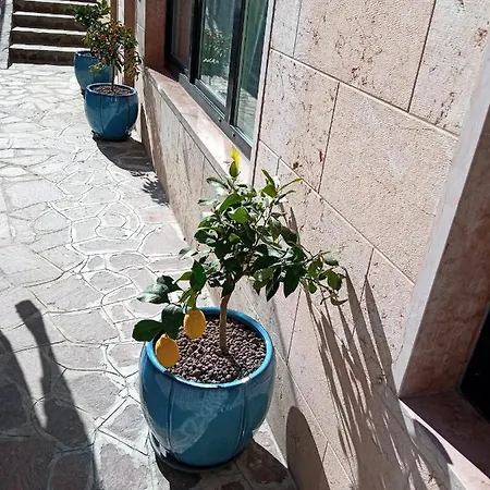 Orchidea 3* Bardolino