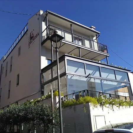 Hotel Orchidea