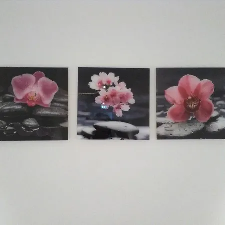 Отель Orchidea 3*