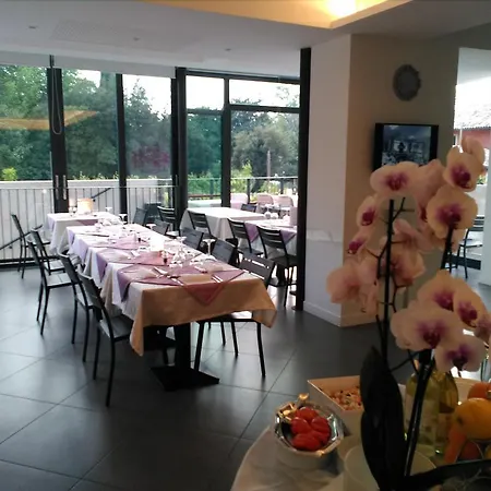 Orchidea Bardolino
