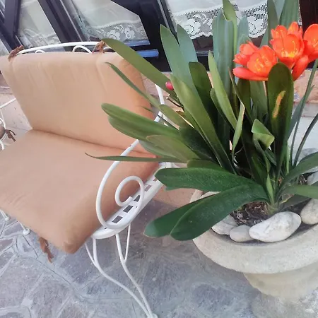 Ξενοδοχείο Orchidea