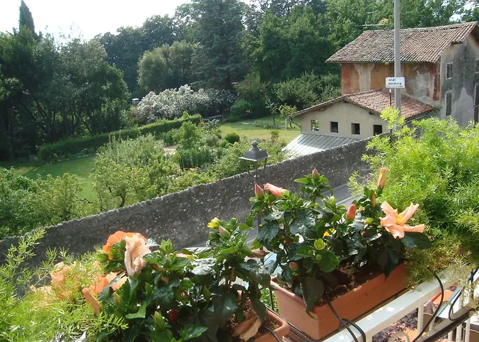 מלון Orchidea 3*