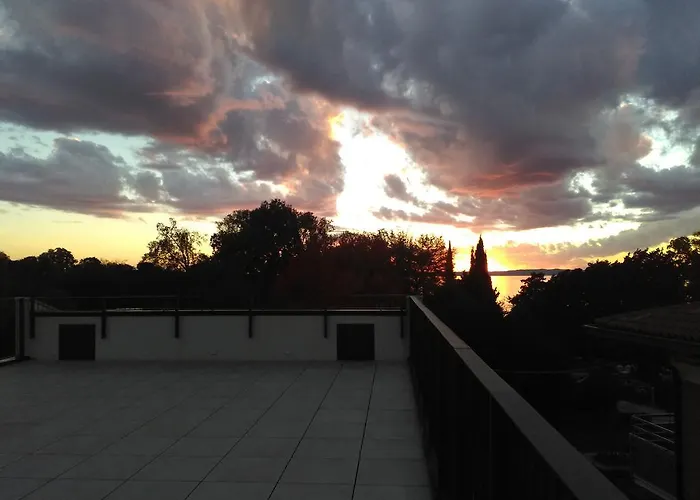 Orchidea ברדולינו