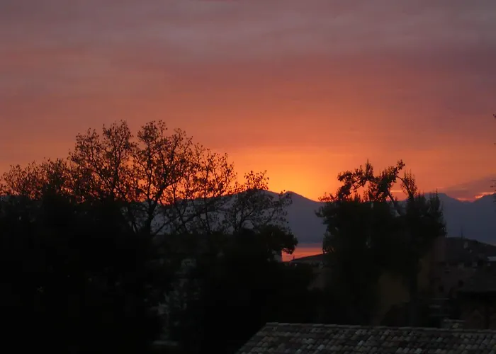 מלון Orchidea 3*