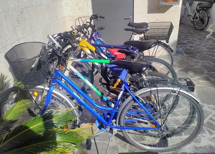 Orchidea باردولينو